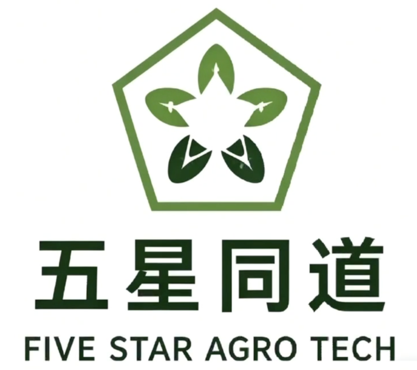 五星同道 Logo